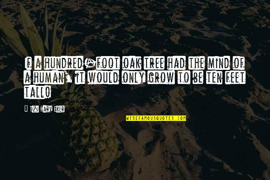 Foot Feet Quotes By T. Harv Eker: If a hundred-foot oak tree had the mind