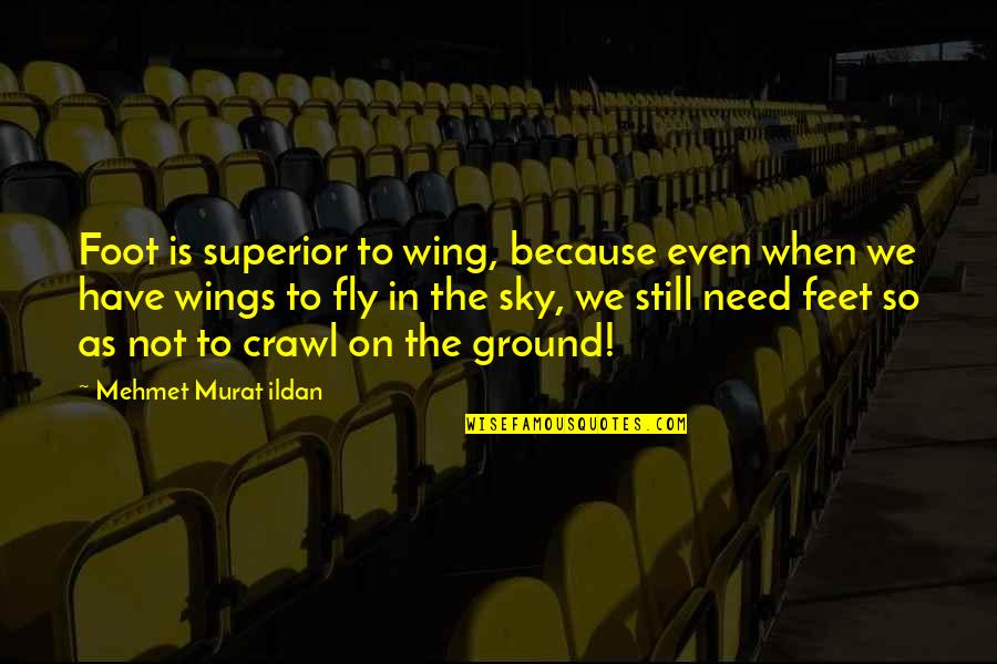 Foot On The Ground Quotes By Mehmet Murat Ildan: Foot is superior to wing, because even when