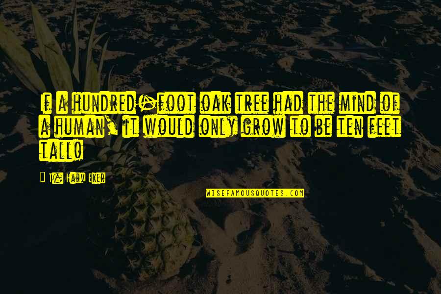 Foot Quotes By T. Harv Eker: If a hundred-foot oak tree had the mind Foot Quotes By T. Harv Eker: If a hundred-foot oak tree had the mind