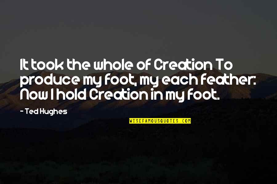 Foot Quotes By Ted Hughes: It took the whole of Creation To produce