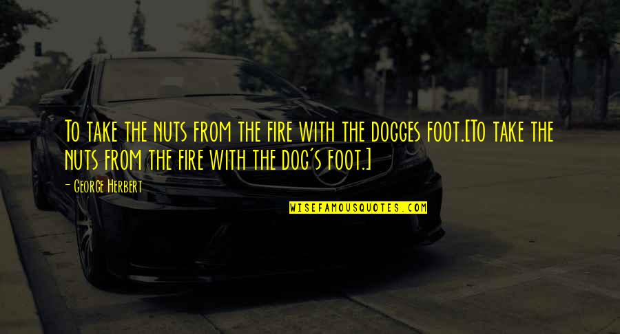 Foot Reflexology Quotes By George Herbert: To take the nuts from the fire with