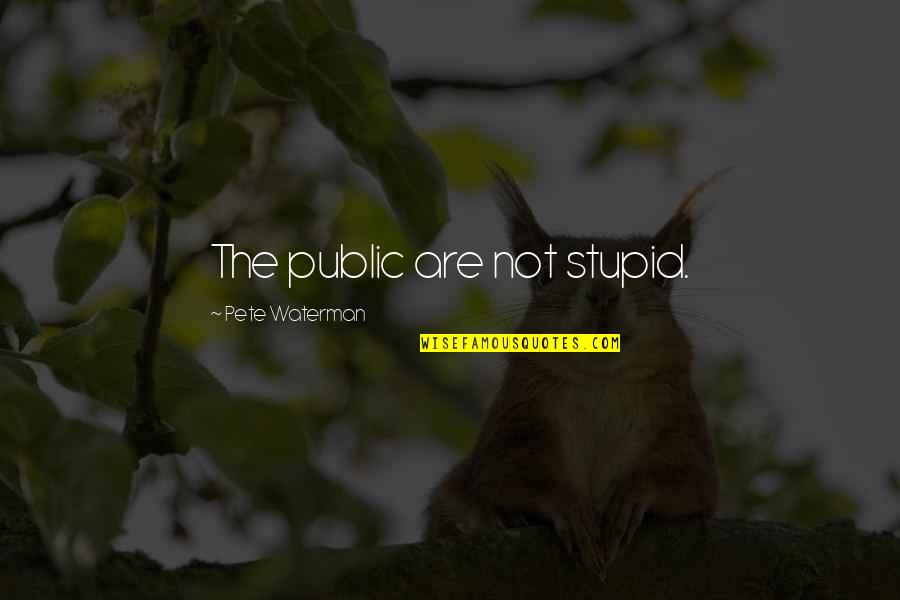 Foot Tattoo Ideas Quotes By Pete Waterman: The public are not stupid.