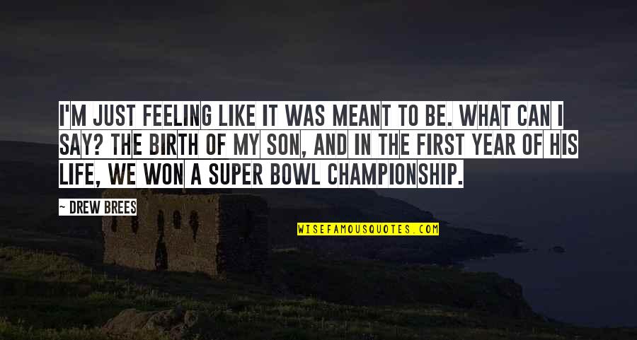 Football Life Quotes By Drew Brees: I'm just feeling like it was meant to