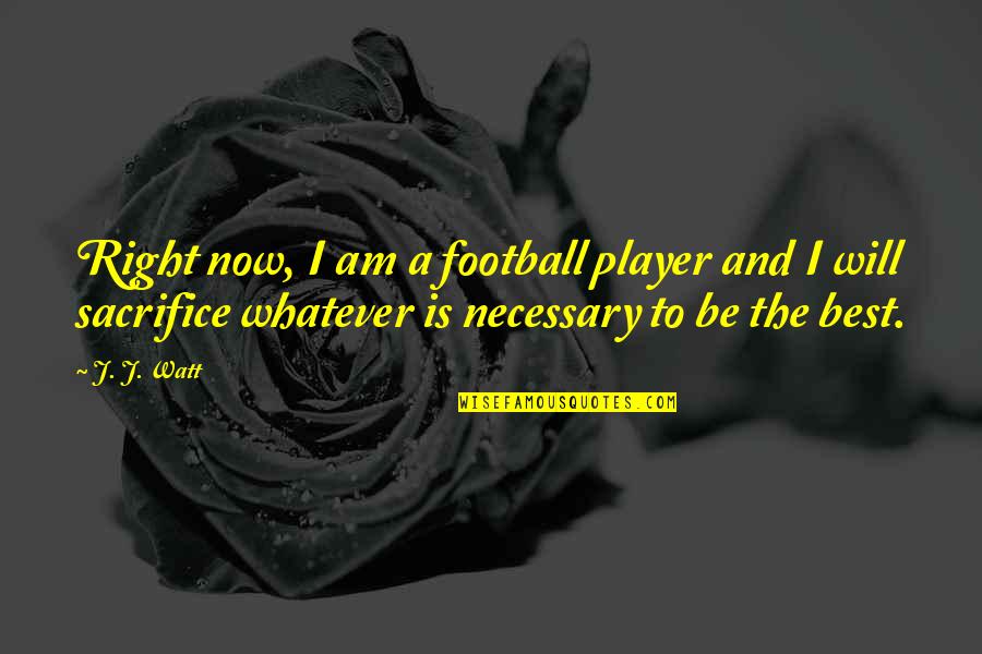 Football Player Quotes By J. J. Watt: Right now, I am a football player and