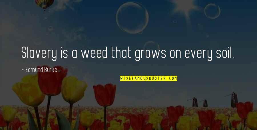 Footfalls Walking Quotes By Edmund Burke: Slavery is a weed that grows on every Footfalls Walking Quotes By Edmund Burke: Slavery is a weed that grows on every