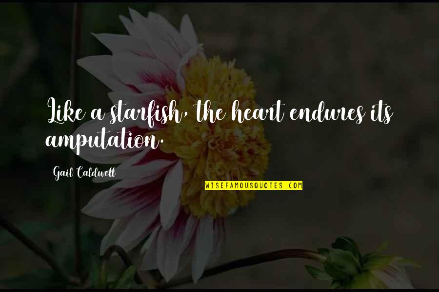 Footnote Inside Quotes By Gail Caldwell: Like a starfish, the heart endures its amputation. Footnote Inside Quotes By Gail Caldwell: Like a starfish, the heart endures its amputation.