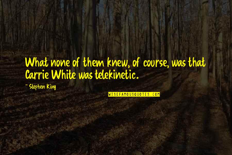 Footprints On Sand Quotes By Stephen King: What none of them knew, of course, was