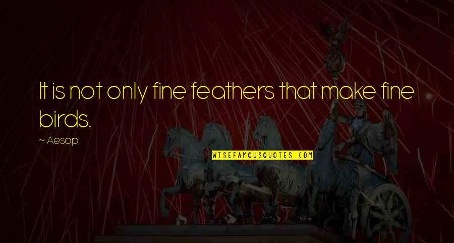 Footrace Motorcycle Quotes By Aesop: It is not only fine feathers that make