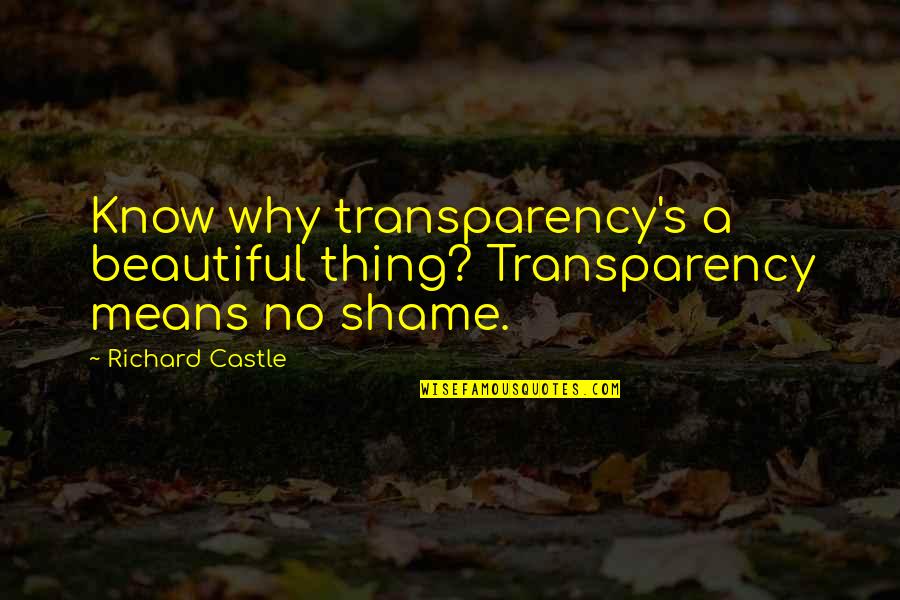 Footrace Terminus Quotes By Richard Castle: Know why transparency's a beautiful thing? Transparency means