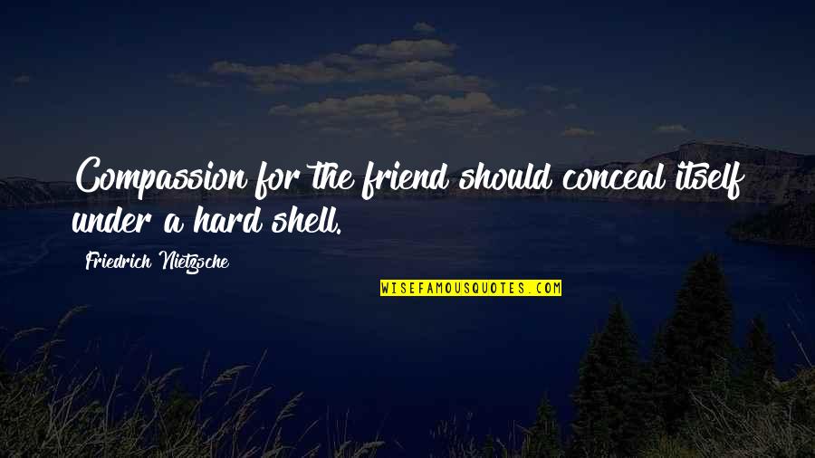 For A Friend Quotes By Friedrich Nietzsche: Compassion for the friend should conceal itself under