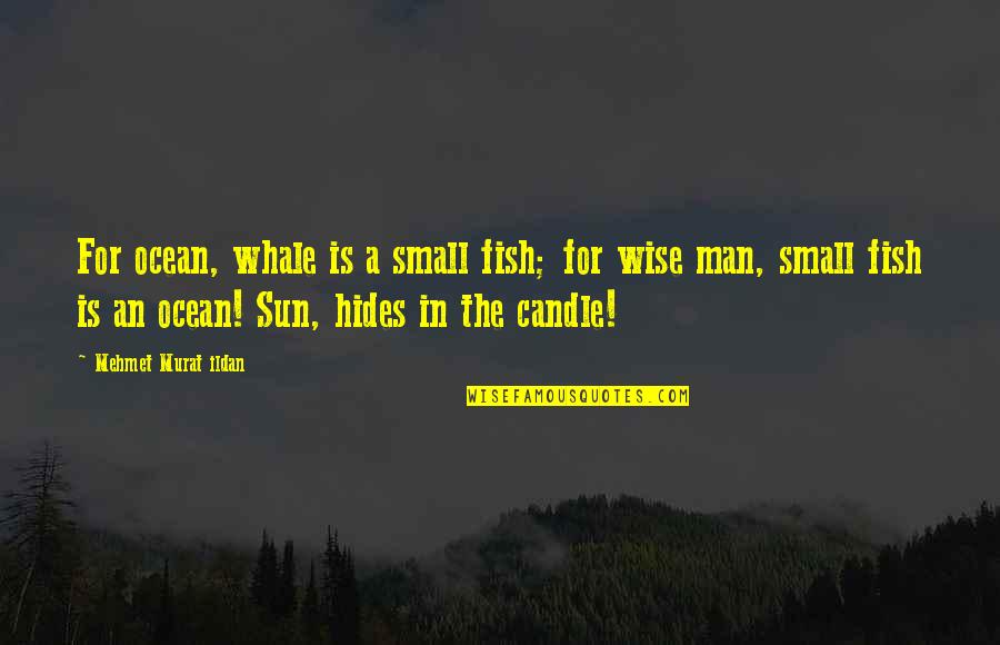 For A Man Quotes By Mehmet Murat Ildan: For ocean, whale is a small fish; for