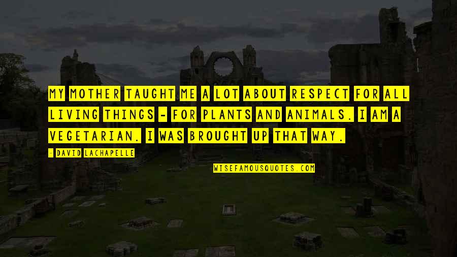 For A Mother Quotes By David LaChapelle: My mother taught me a lot about respect For A Mother Quotes By David LaChapelle: My mother taught me a lot about respect