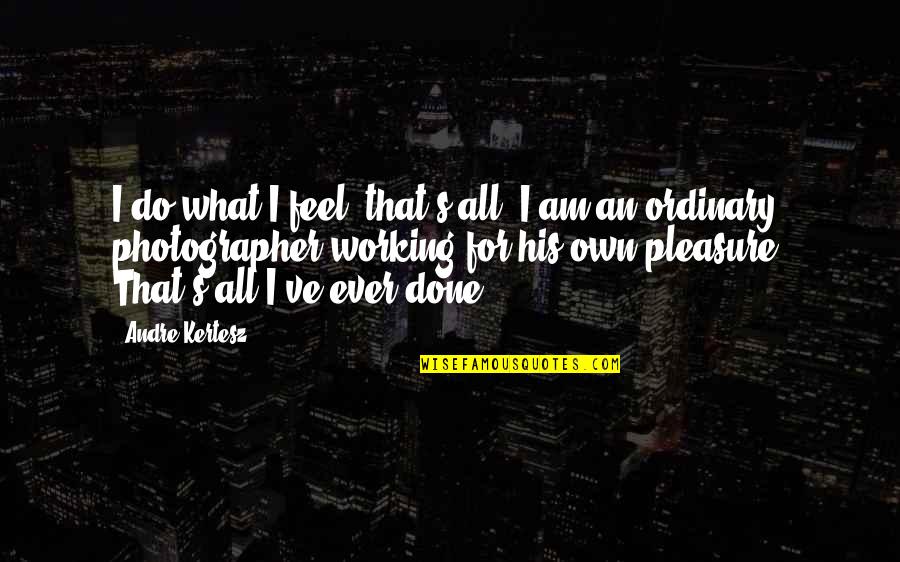 For All That I Am Quotes By Andre Kertesz: I do what I feel, that's all. I