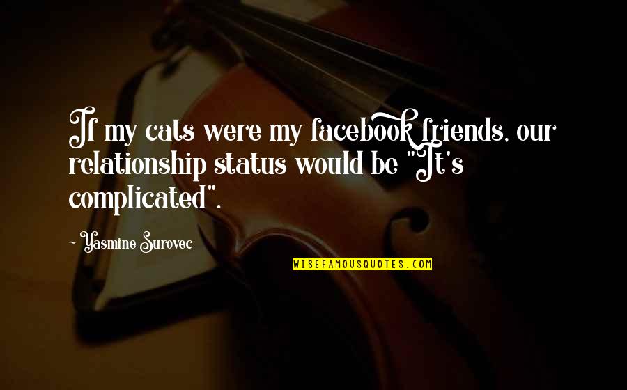 For Complicated Relationship Quotes By Yasmine Surovec: If my cats were my facebook friends, our