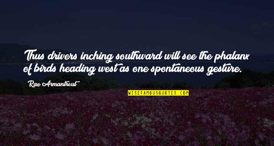 For Drivers Quotes By Rae Armantrout: Thus drivers inching southward will see the phalanx