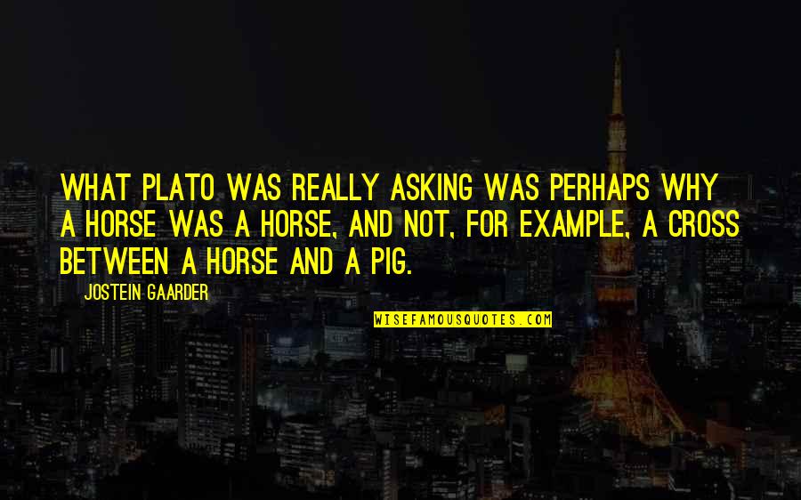 For Example Quotes By Jostein Gaarder: What Plato was really asking was perhaps why