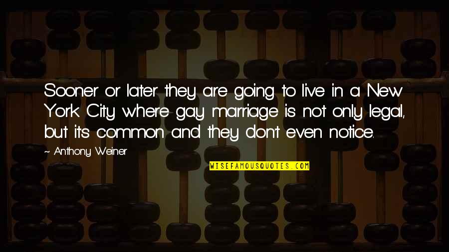 For Gay Marriage Quotes By Anthony Weiner: Sooner or later they are going to live