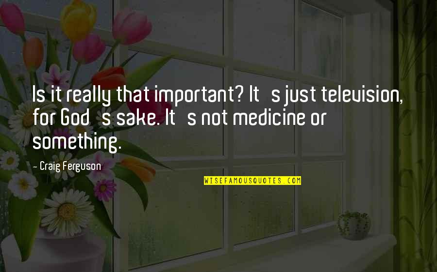 For God Sake Quotes By Craig Ferguson: Is it really that important? It's just television,