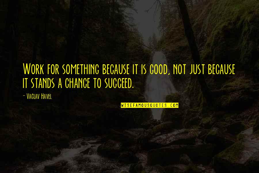 For Good Life Quotes By Vaclav Havel: Work for something because it is good, not