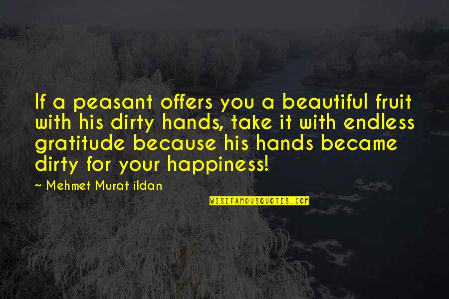 For His Happiness Quotes By Mehmet Murat Ildan: If a peasant offers you a beautiful fruit