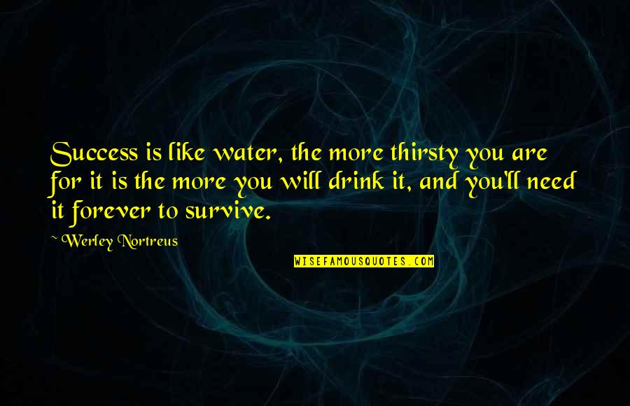 For More Quotes By Werley Nortreus: Success is like water, the more thirsty you