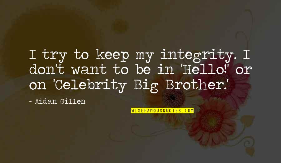 For My Big Brother Quotes By Aidan Gillen: I try to keep my integrity. I don't