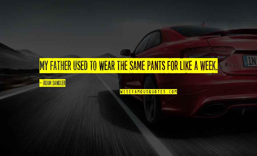 For My Father Quotes By Adam Sandler: My father used to wear the same pants