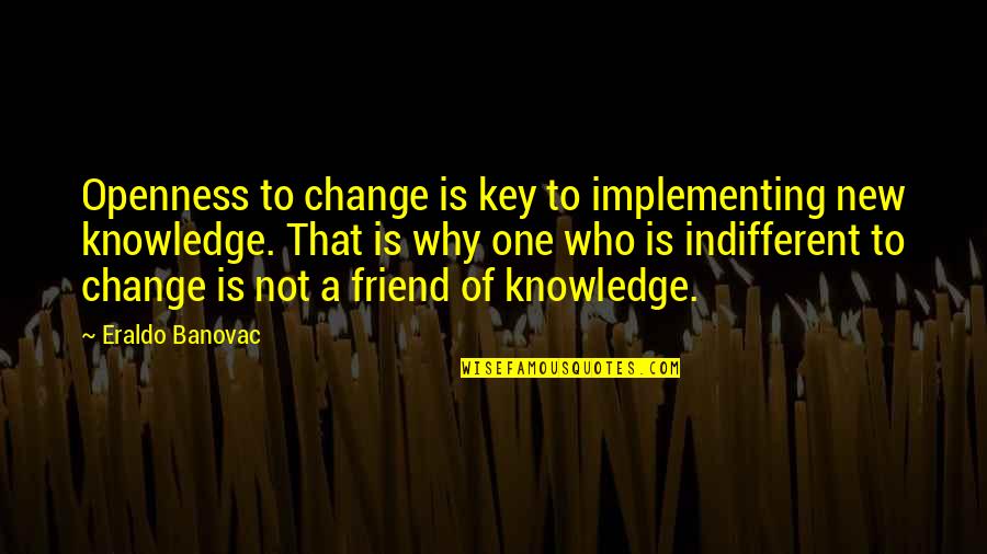 For My New Friend Quotes By Eraldo Banovac: Openness to change is key to implementing new