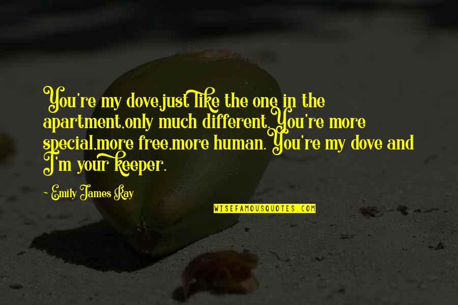 For My Special One Quotes By Emily James Ray: You're my dove,just like the one in the For My Special One Quotes By Emily James Ray: You're my dove,just like the one in the