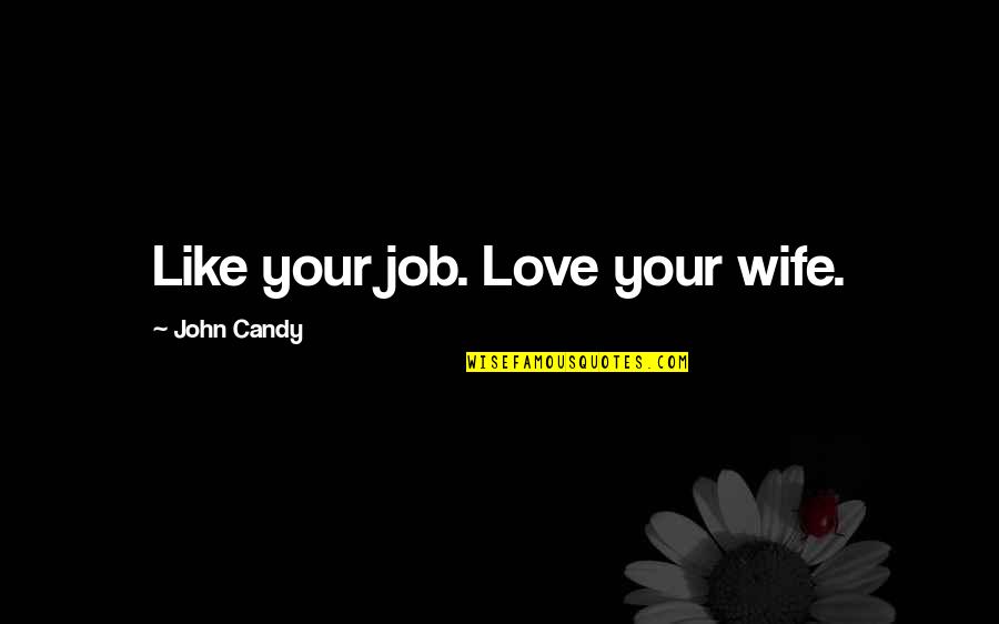 For My Wife Love Quotes By John Candy: Like your job. Love your wife.