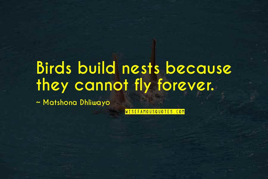 For My Wife Love Quotes By Matshona Dhliwayo: Birds build nests because they cannot fly forever.