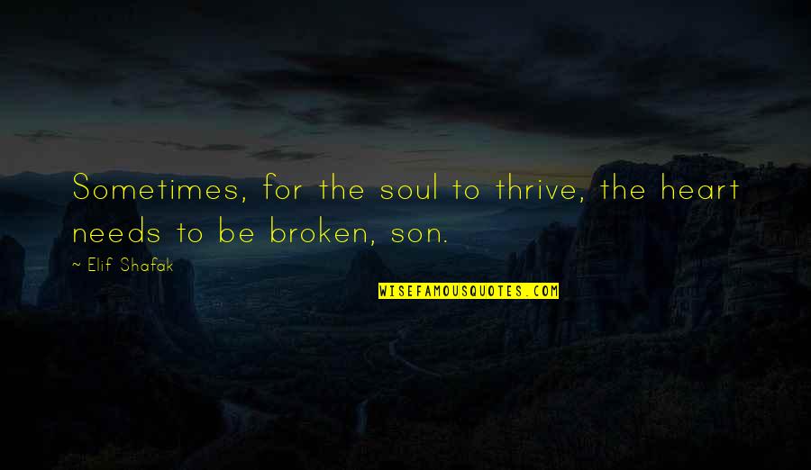 For Son Quotes By Elif Shafak: Sometimes, for the soul to thrive, the heart