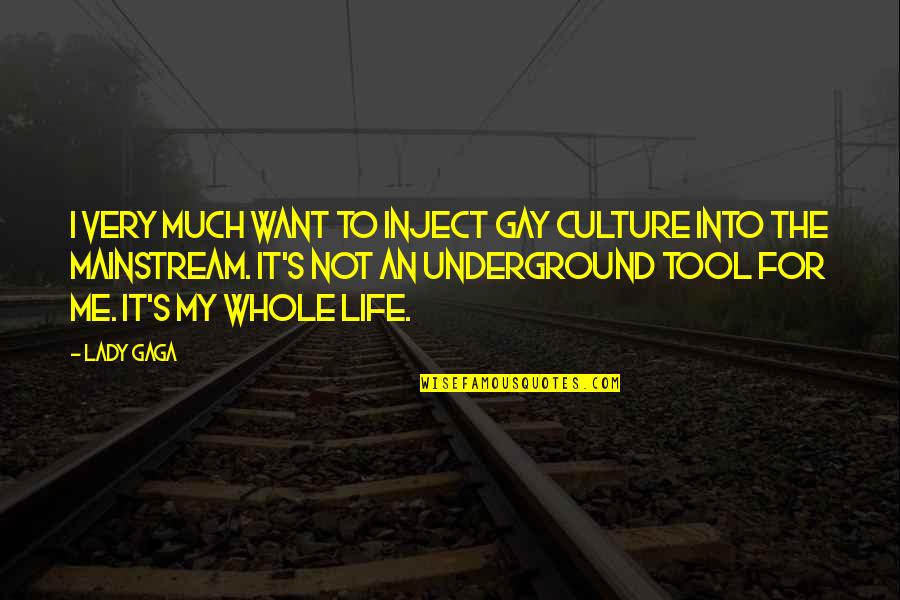 For The Culture Quotes By Lady Gaga: I very much want to inject gay culture For The Culture Quotes By Lady Gaga: I very much want to inject gay culture