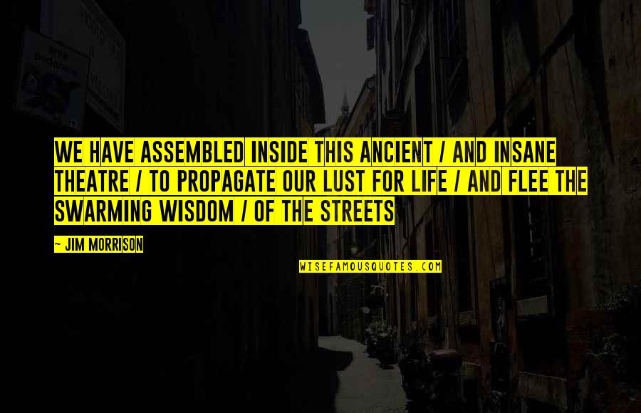 For The Streets Quotes By Jim Morrison: We have assembled inside this ancient / and