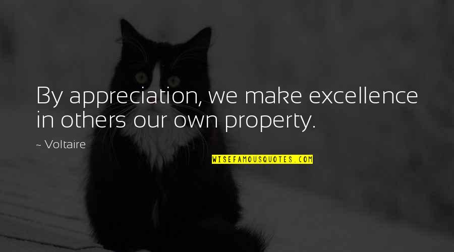 For Whom The Bell Tolls Movie Quotes By Voltaire: By appreciation, we make excellence in others our