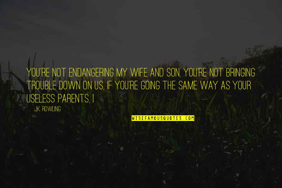 For Wife And Son Quotes By J.K. Rowling: You're not endangering my wife and son, you're