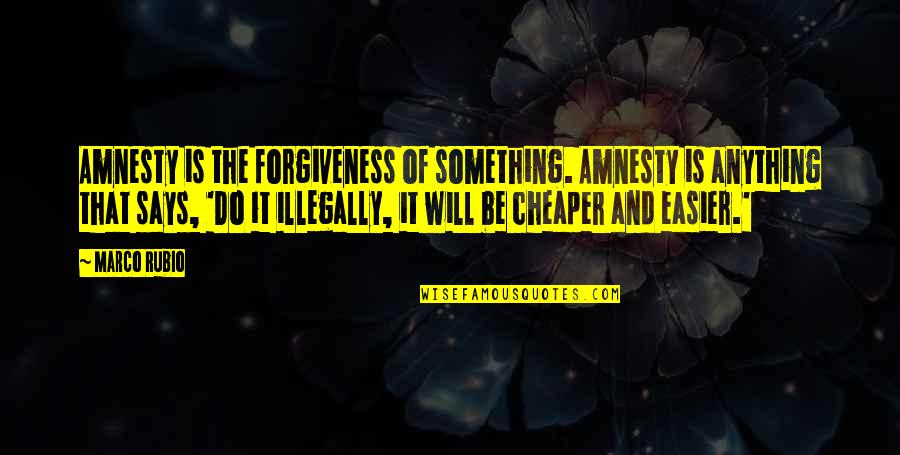 For You I Will Do Anything Quotes By Marco Rubio: Amnesty is the forgiveness of something. Amnesty is