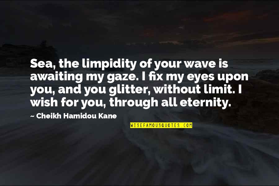 For Your Eyes Quotes By Cheikh Hamidou Kane: Sea, the limpidity of your wave is awaiting