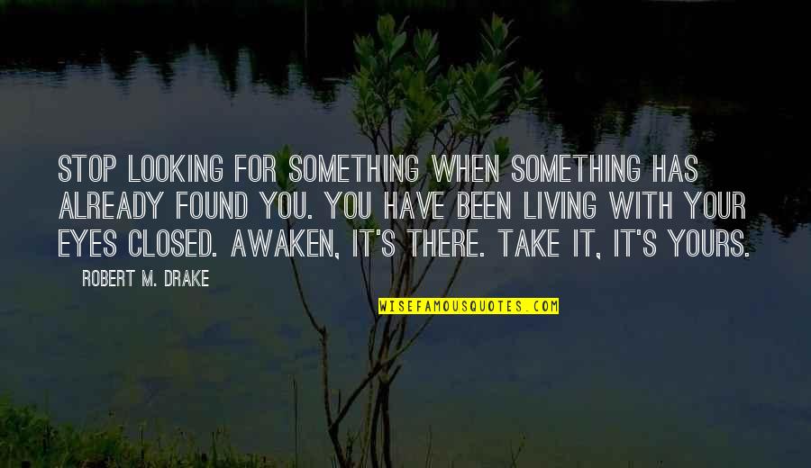 For Your Eyes Quotes By Robert M. Drake: Stop looking for something when something has already