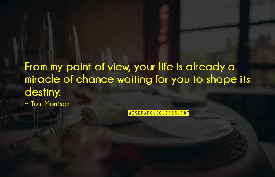 Foras Quotes By Toni Morrison: From my point of view, your life is