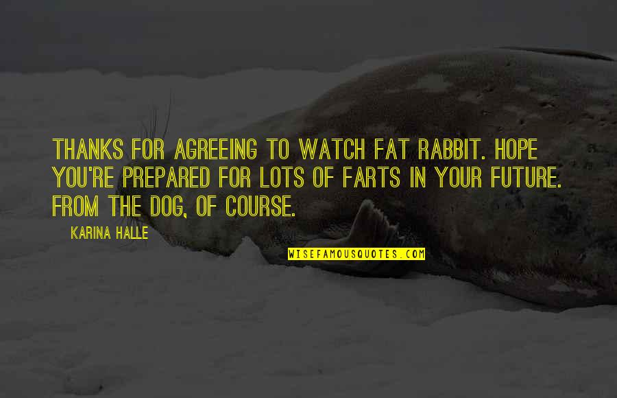 Foray Quotes By Karina Halle: Thanks for agreeing to watch Fat Rabbit. Hope