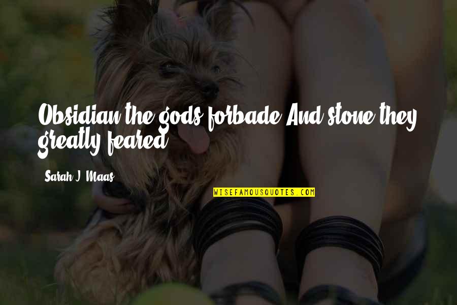 Forbade Quotes By Sarah J. Maas: Obsidian the gods forbade And stone they greatly