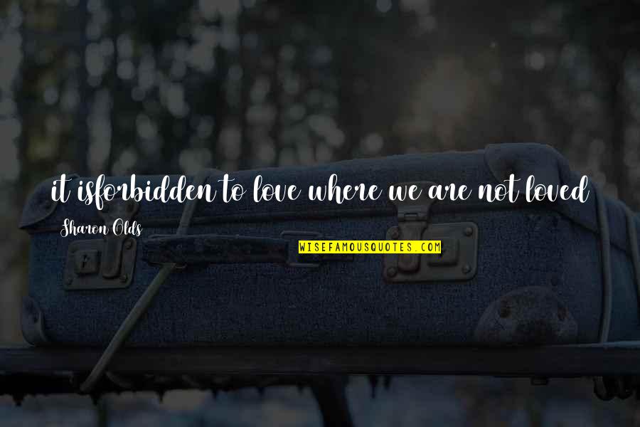 Forbidden Love Quotes By Sharon Olds: it isforbidden to love where we are not