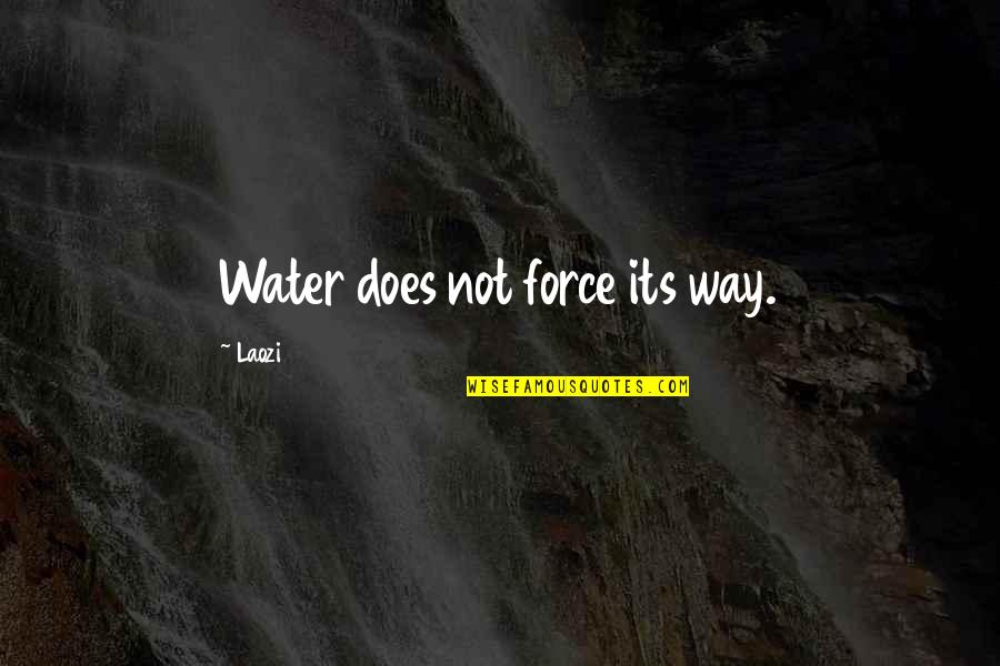 Force Of Water Quotes By Laozi: Water does not force its way. Force Of Water Quotes By Laozi: Water does not force its way.
