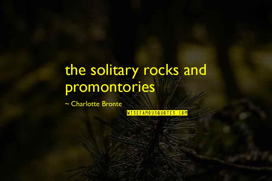 Forced Bachelor Quotes By Charlotte Bronte: the solitary rocks and promontories