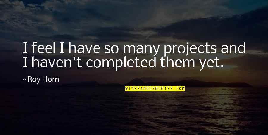 Forced Education Quotes By Roy Horn: I feel I have so many projects and