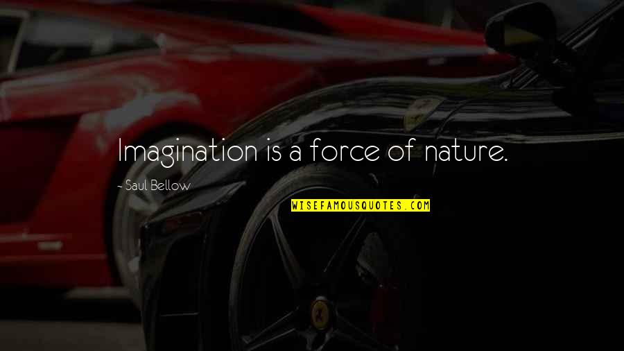 Forces Of Nature Quotes By Saul Bellow: Imagination is a force of nature.