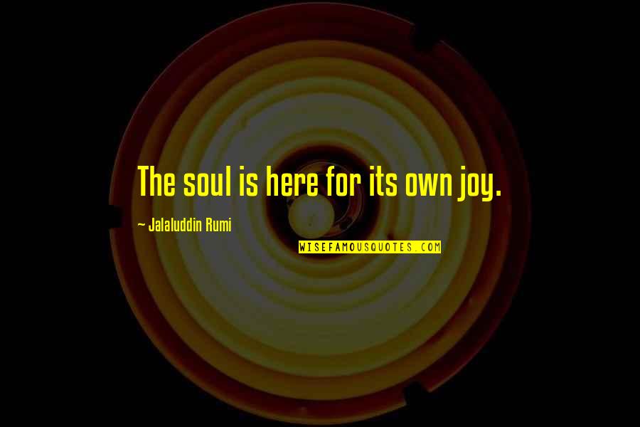 Forcing Yourself To Move On Quotes By Jalaluddin Rumi: The soul is here for its own joy.