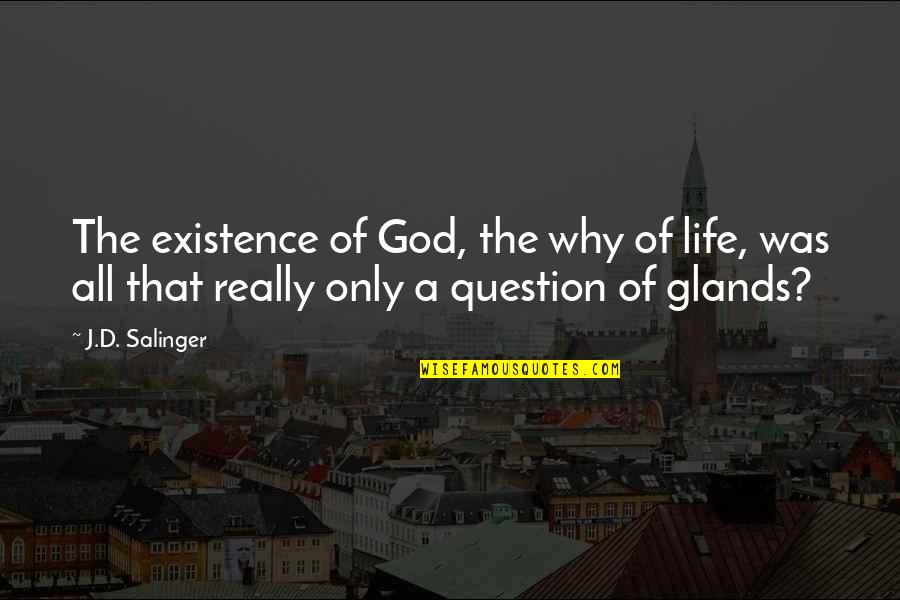 Fordern Conjugation Quotes By J.D. Salinger: The existence of God, the why of life,