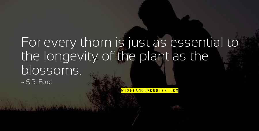 Ford's Quotes By S.R. Ford: For every thorn is just as essential to